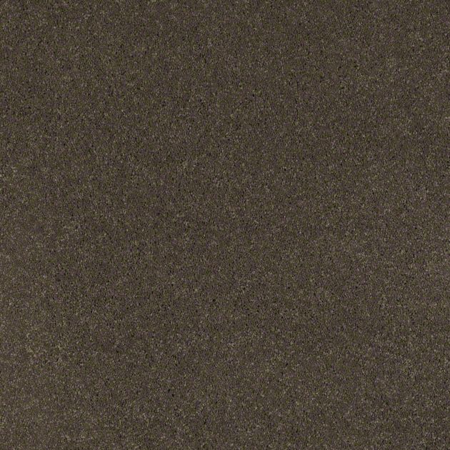 Ковролин SHAW Cashmere 505