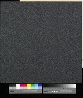 Flavia 9502