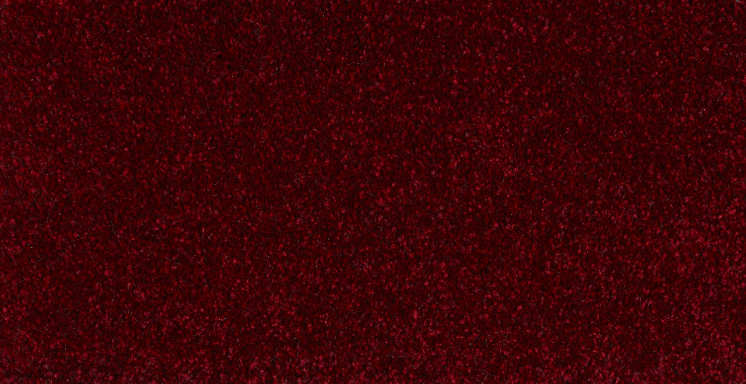 Key West 054 Koraal