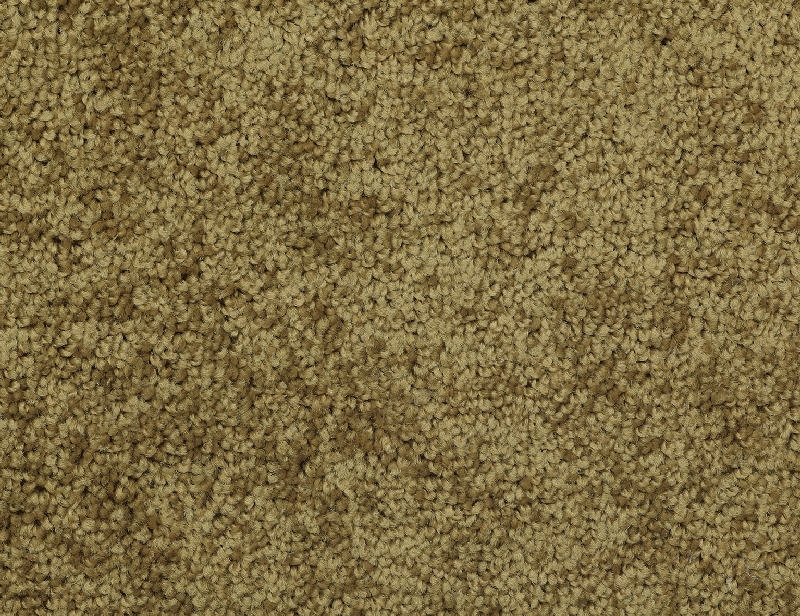Light Olive