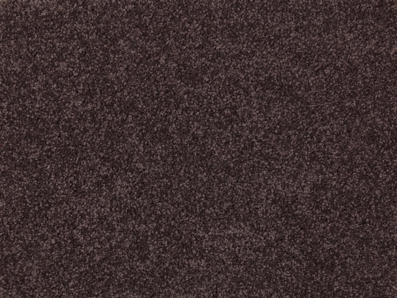 Beauty 505 Sugar Plum 