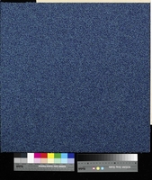 Flavia 3012