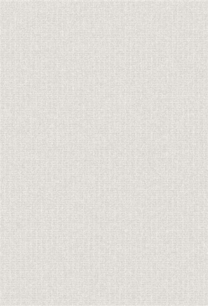 Ковер Flux 461.027.AE120