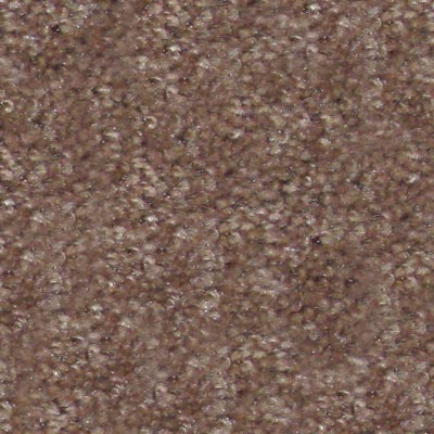 Hidden Treasure Rich Taupe 05