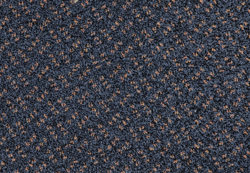 790