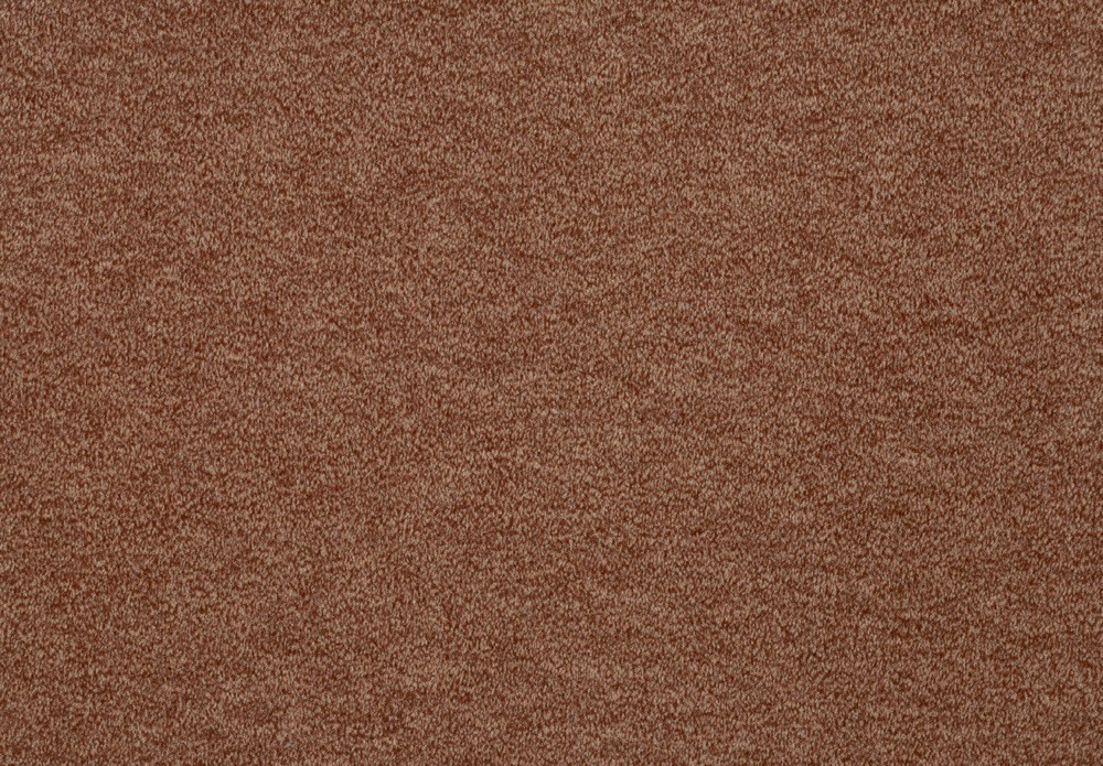 Godiva 304