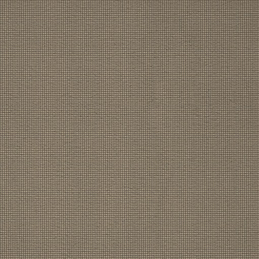 Schubert 43