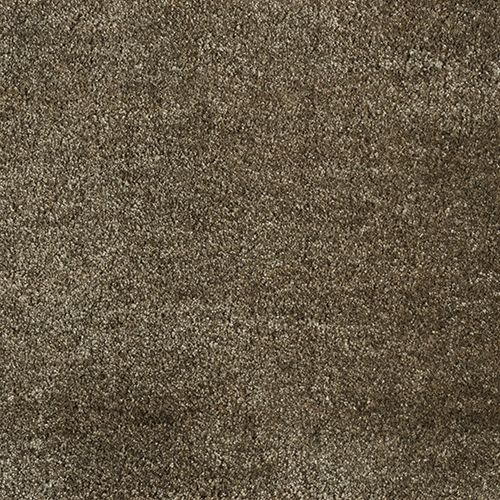 Ковровые покрытия Monza 49049 earth