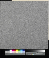 Flavia 9515