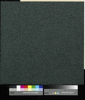 Flavia 7811