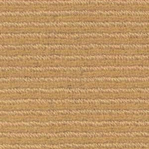 Camel 4985