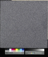 Flavia 9035