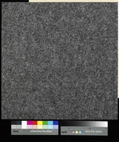 Forto 9503