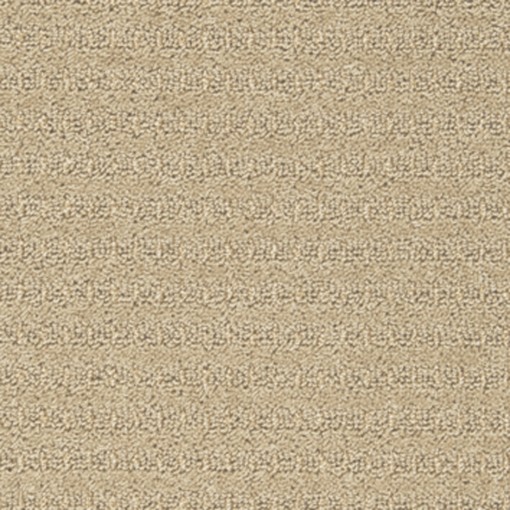 Ковролин Splendid 33
