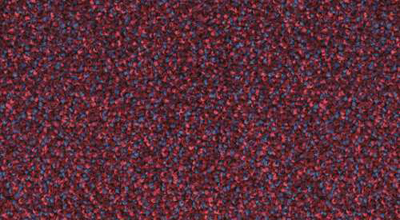 Flavia 2128