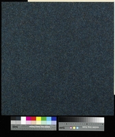 Forto 8801