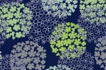 Ковролин Modena design