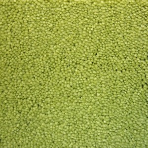 Ковролин Lord RADICI Lime 245c