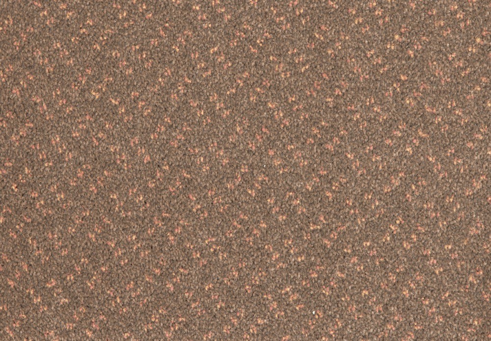 261