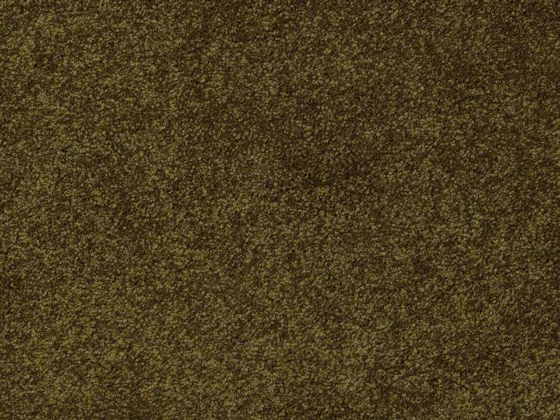 Beauty 652 Light Olive 