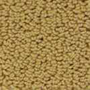 260