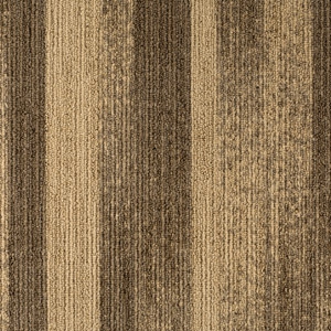 620