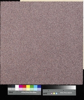Flavia 2104