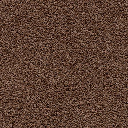 Burnished Brown