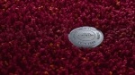 Ковролин Superior 1041