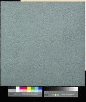 Flavia 7905
