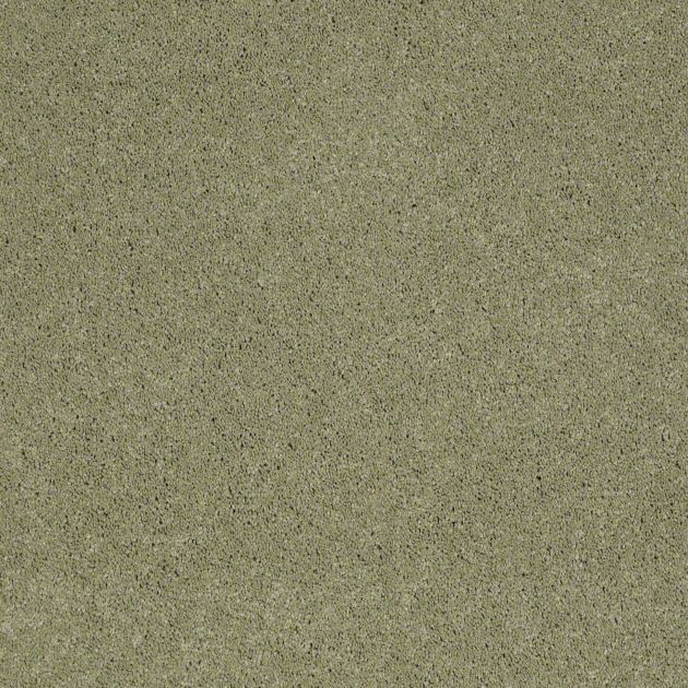 Ковролин SHAW Cashmere 302