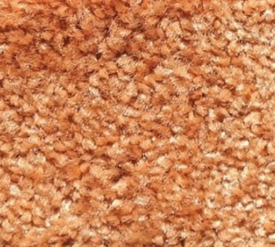 956