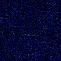 Lupo 8521