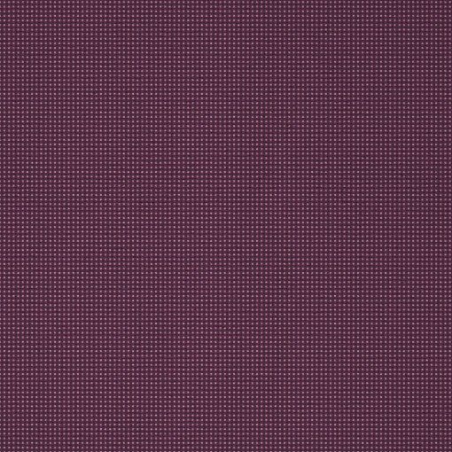 Schubert 85