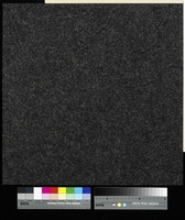 Forto 9501