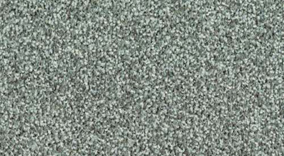 Flavia 9515