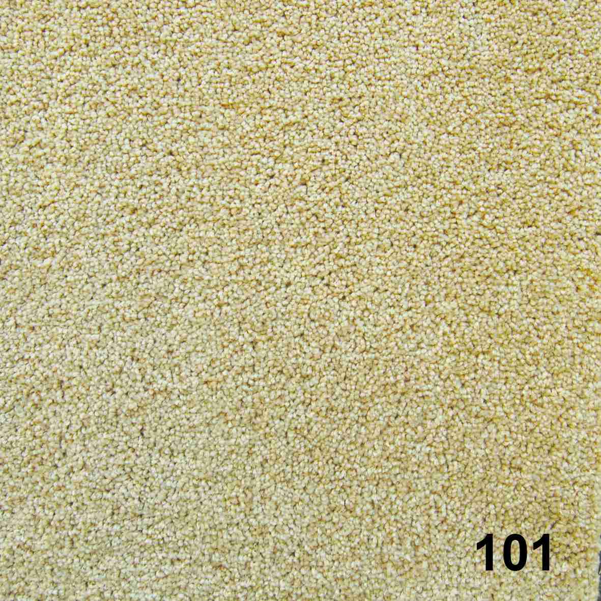101