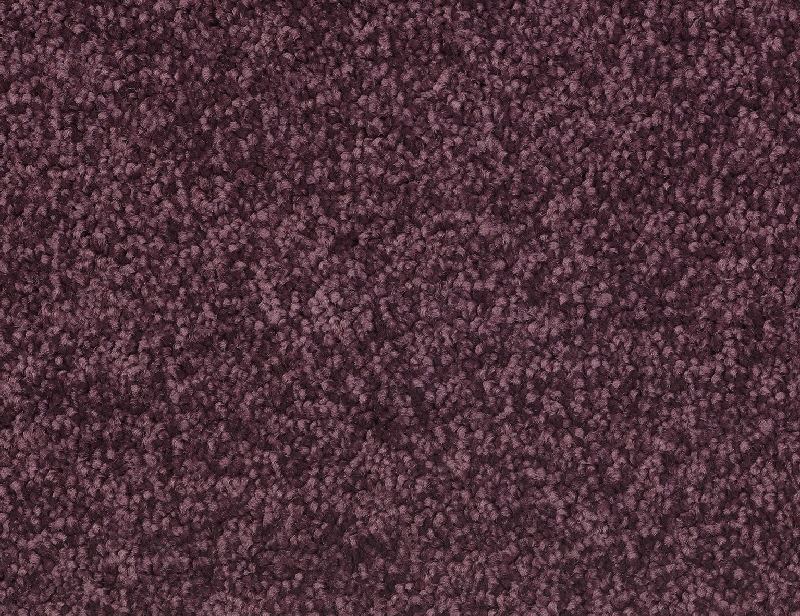 Mulberry Burst