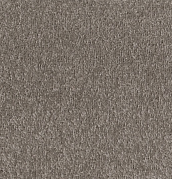 fancy-152