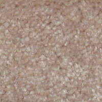 Hidden Treasure Blond Ash 18