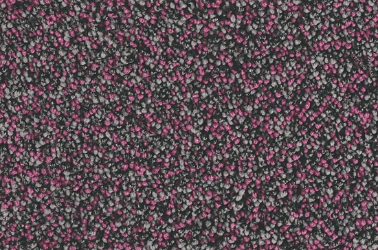 1J07