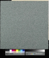 Flavia 7824