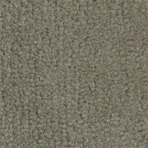 Avena 1307