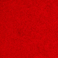 Palatino 4301