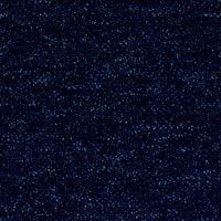 Lupo 8431
