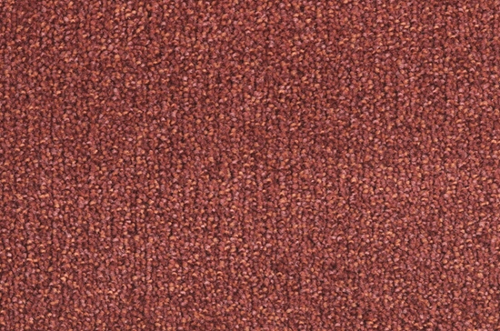 1E29
