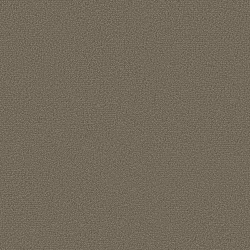 Ковролин Pure 1208
