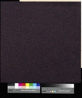 Flavia 3921