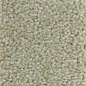 810