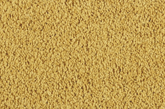 236E